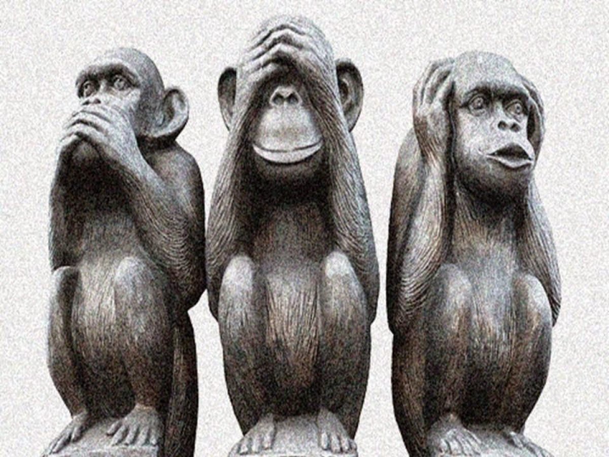 Орангутан в джунглях