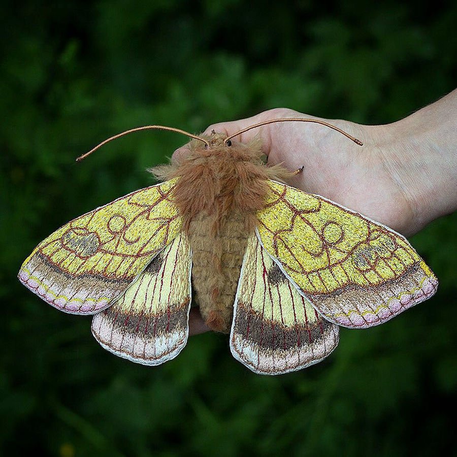 Бабочка в полете