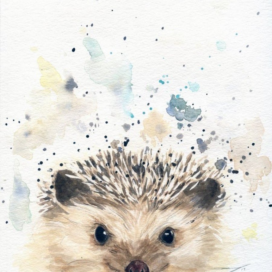 Забавные животные акварелью