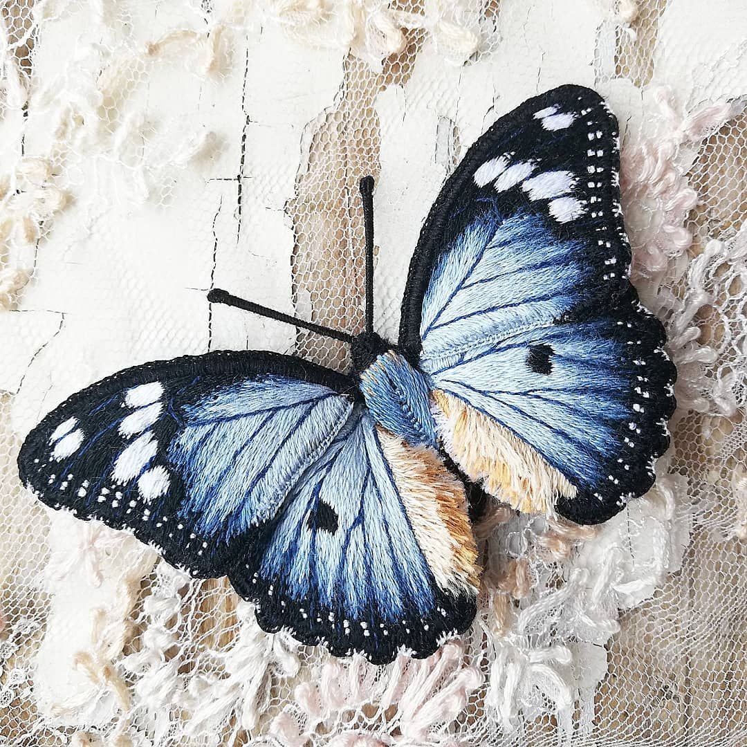 Насекомые Воронежской области