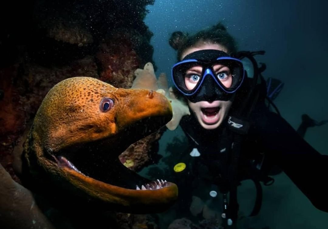 Рыба Наполеон Гриша Роджана