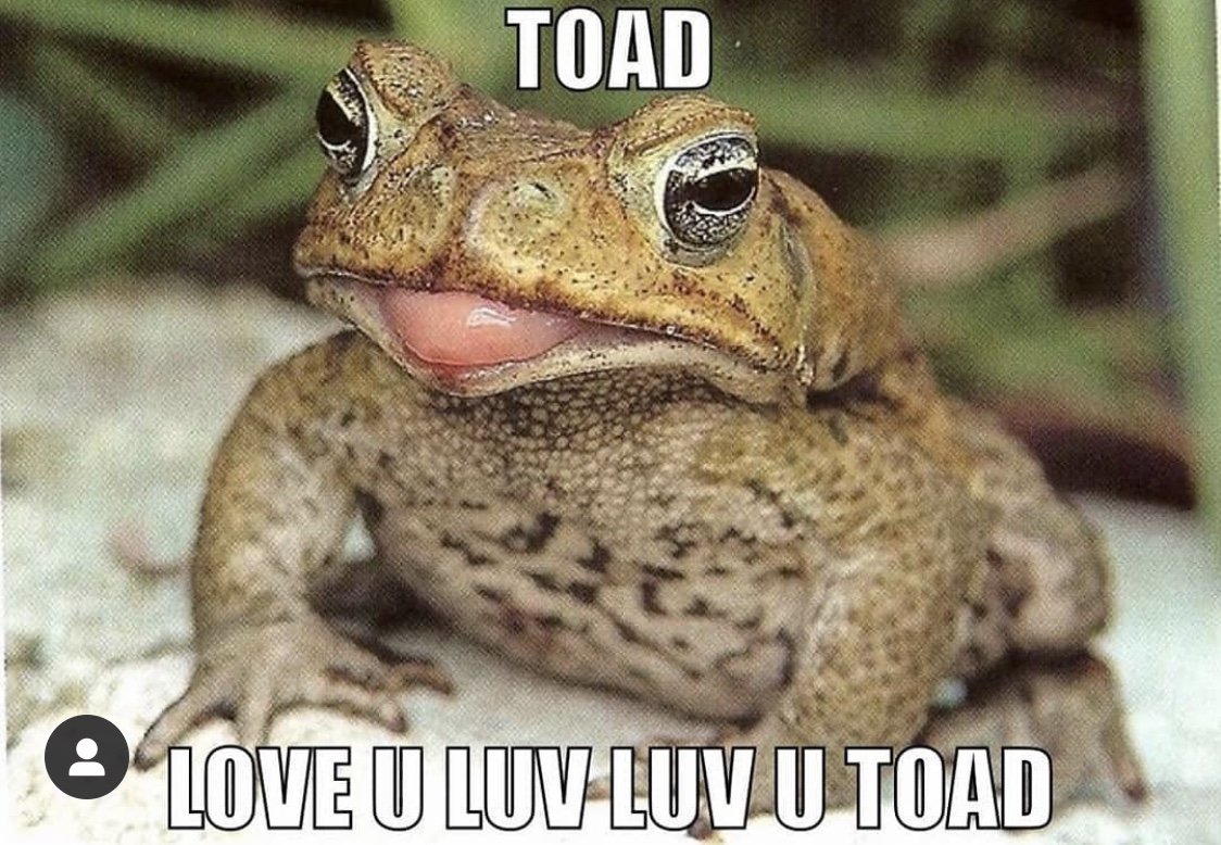 Жаба очкастая