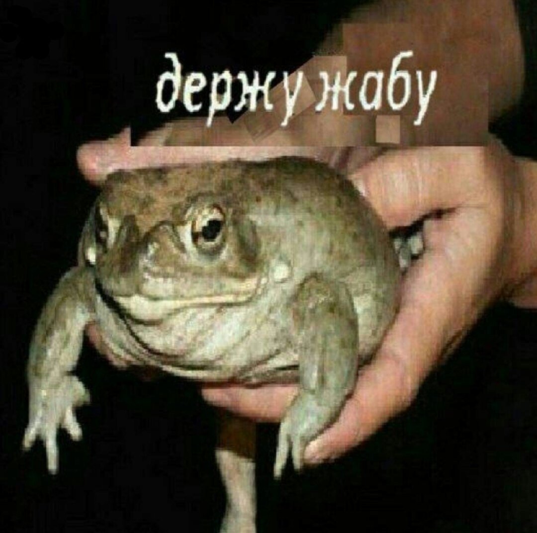 Лягушка сидит на скамейке