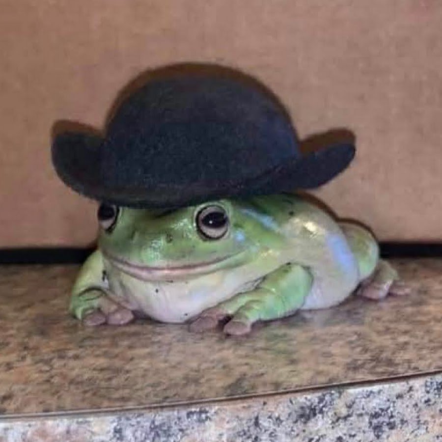 Лягушка квакша зеленая Эстетика