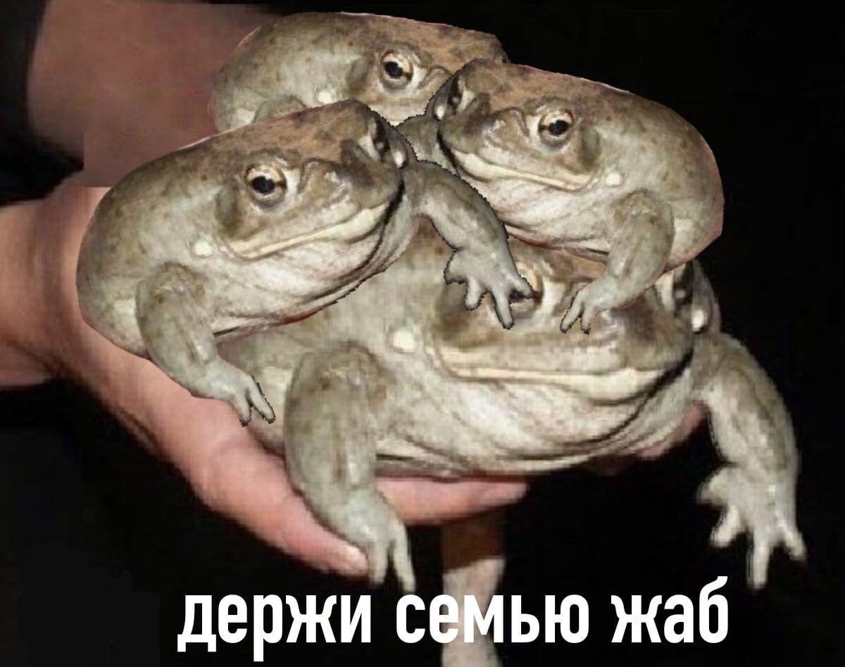 Пустынный узкорот лягушка