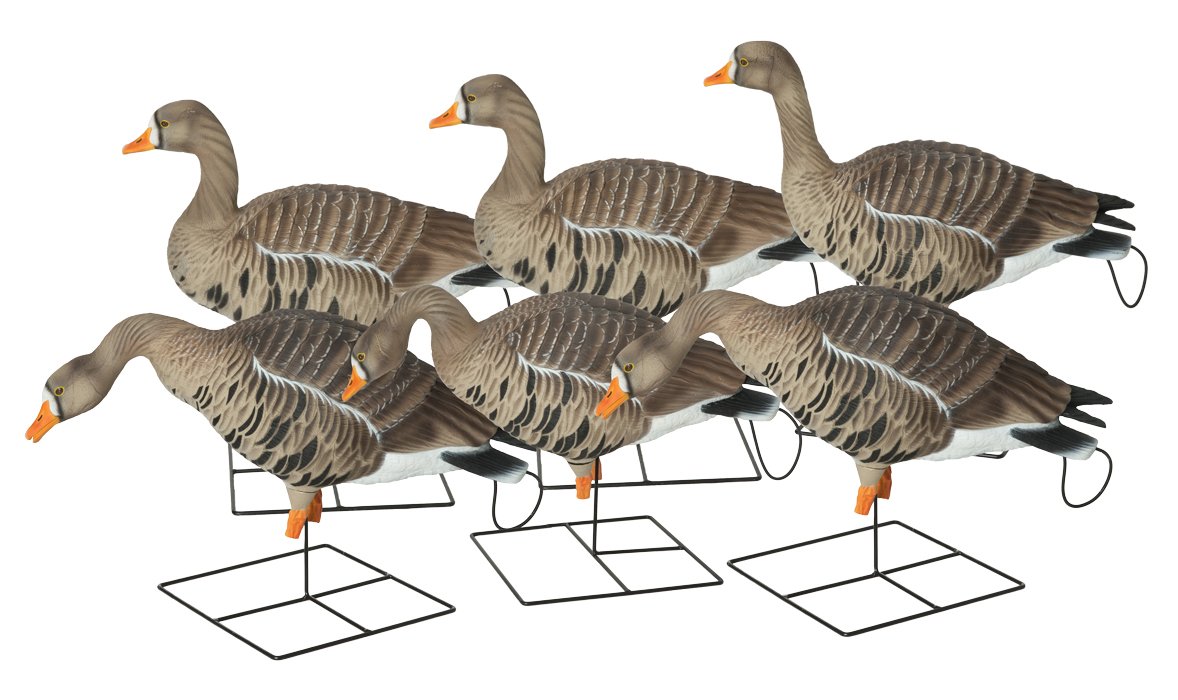 Чучело гуся "белолобый Гусь"