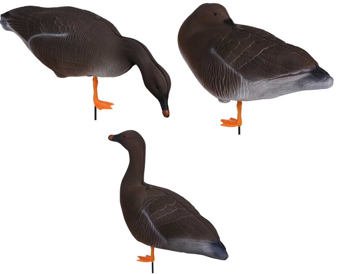 Гусь в профиль