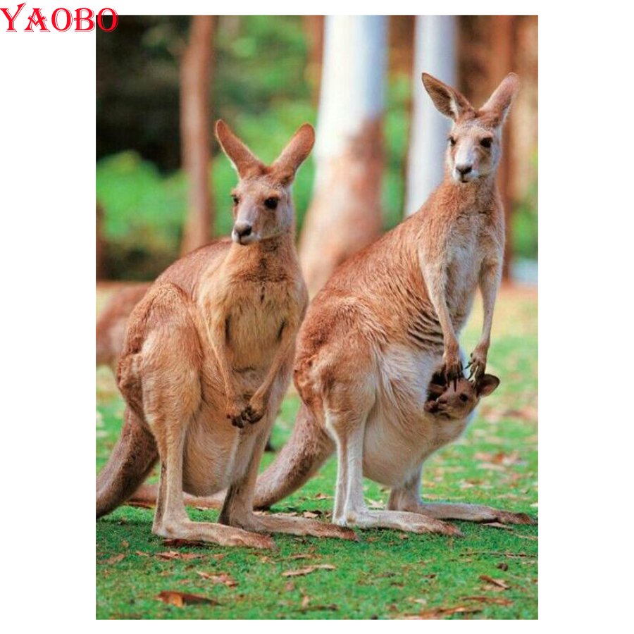 Кенгуру опирается на хвост