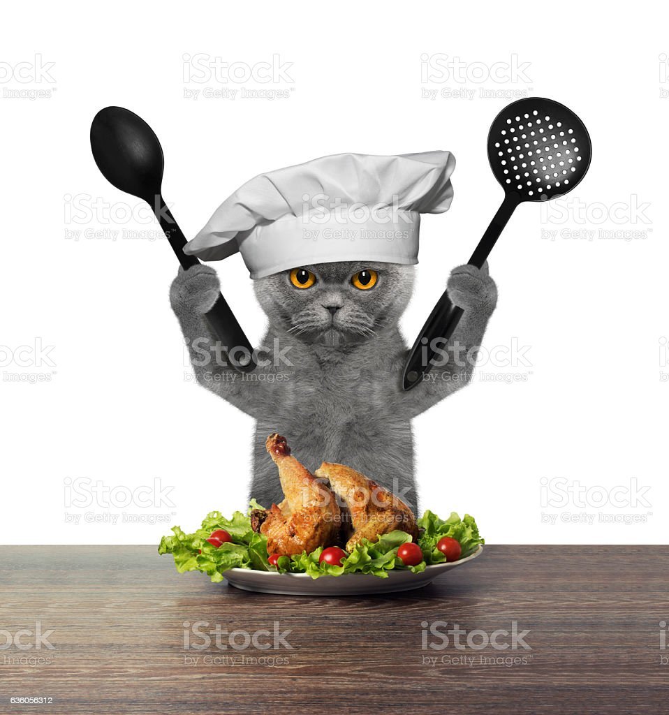 Кошка в поварском колпаке