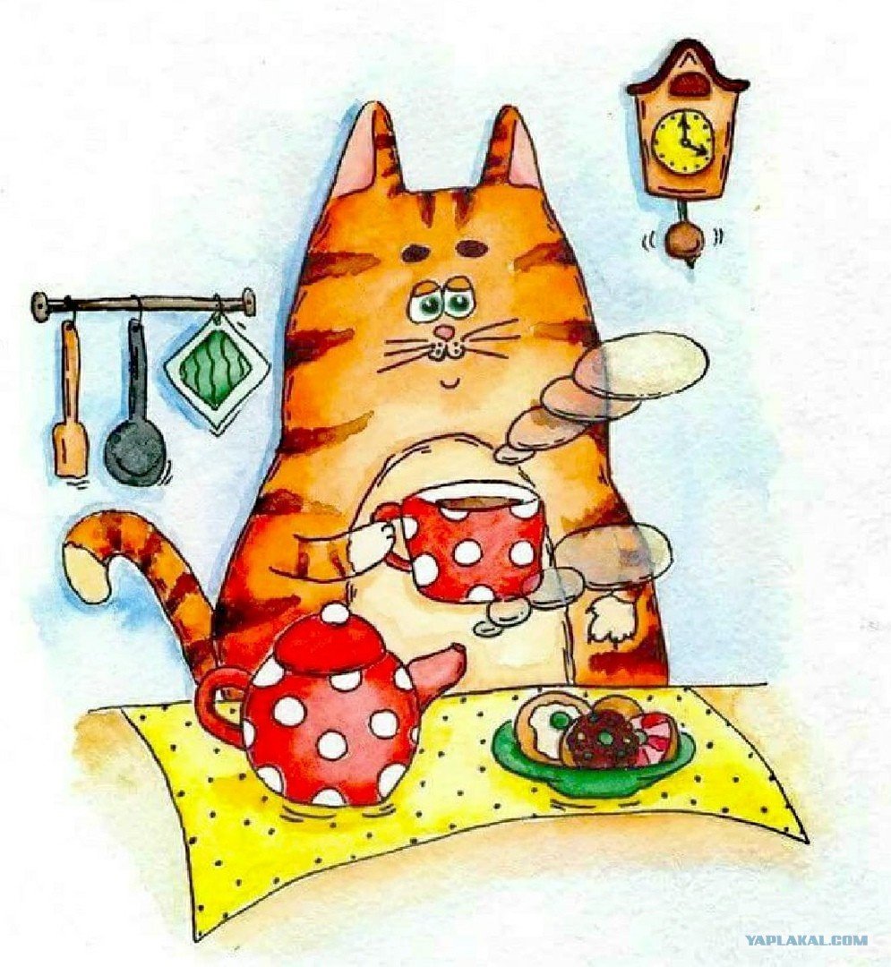 Коты за столом