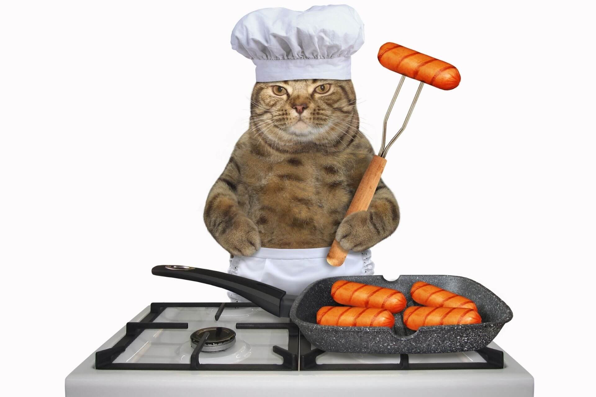 Кот готовит курицу