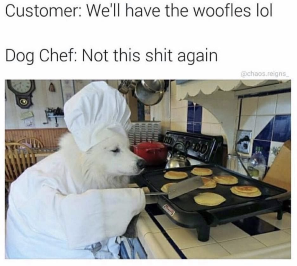 Кот со сковородкой в лапах