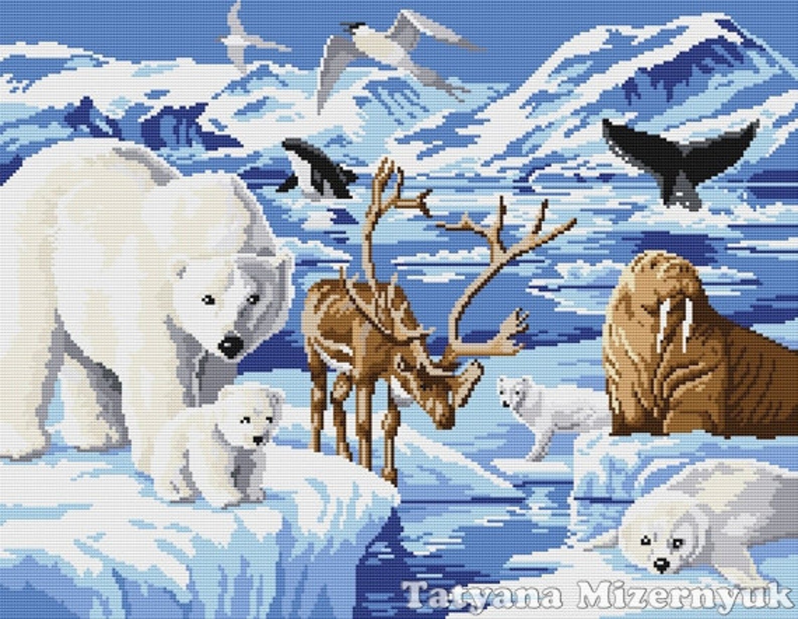 3 полярный мир. Северный полюс Арктика животные. Природа севера животные. Животный мир севера для детей. Животные Северного полюса для детей.
