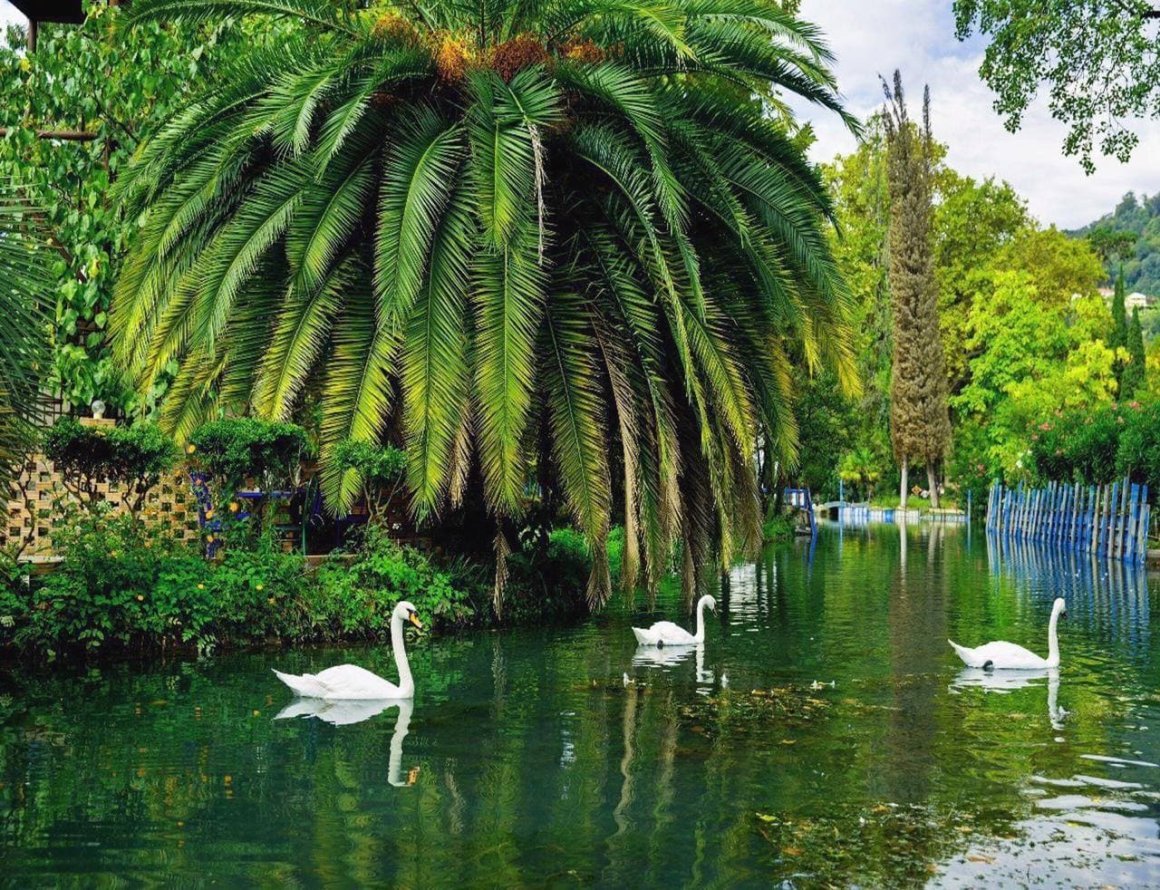 Птицы Испании