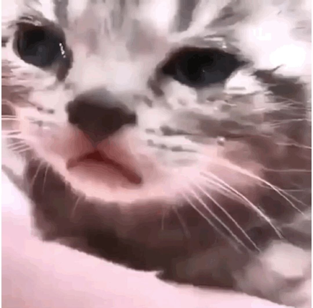 Самая соскученная по тебе