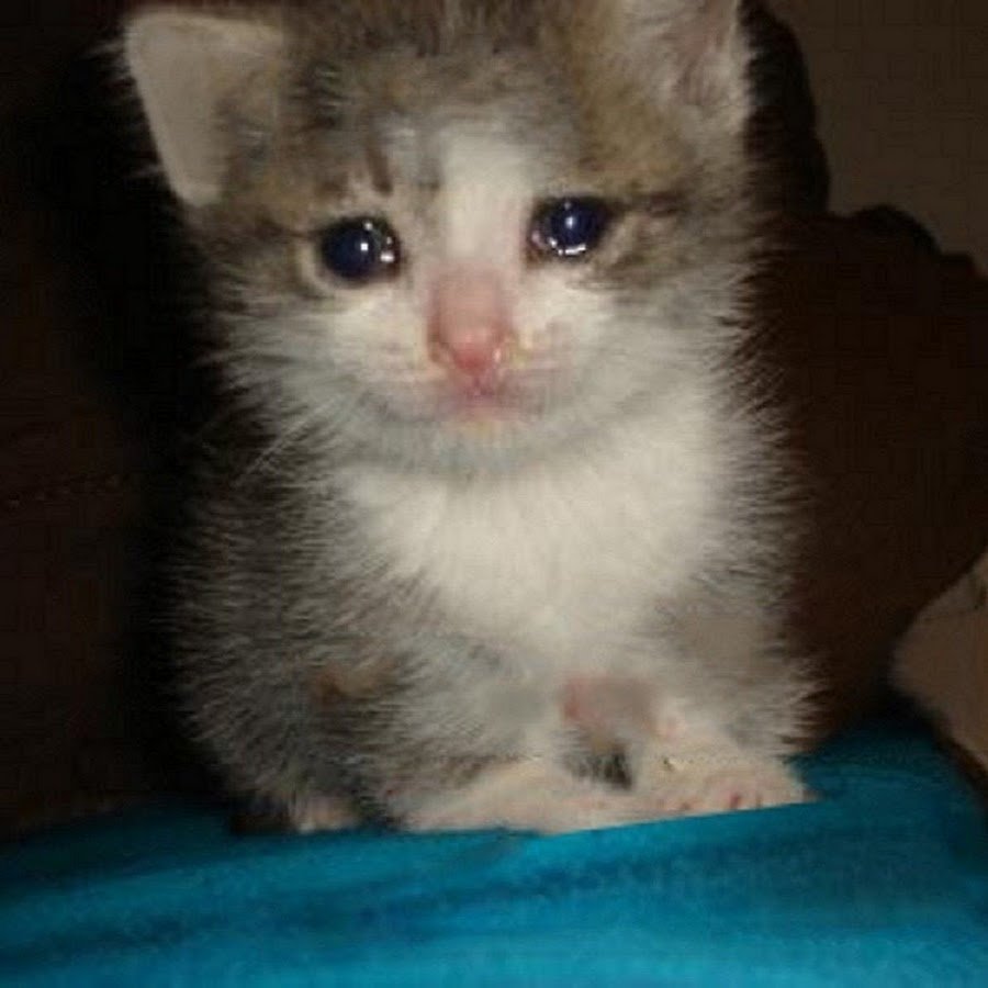 Лефрут Азазин