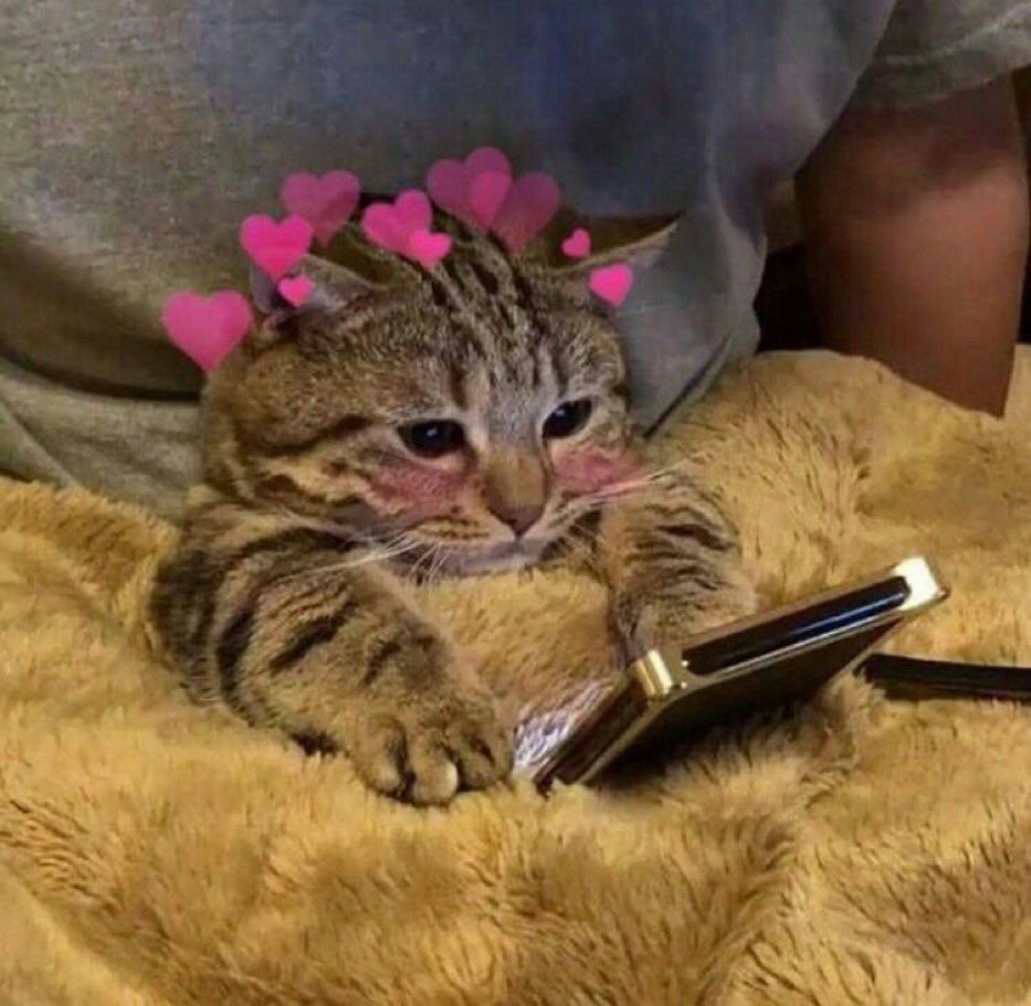 Плачищуй Коттс телефоном