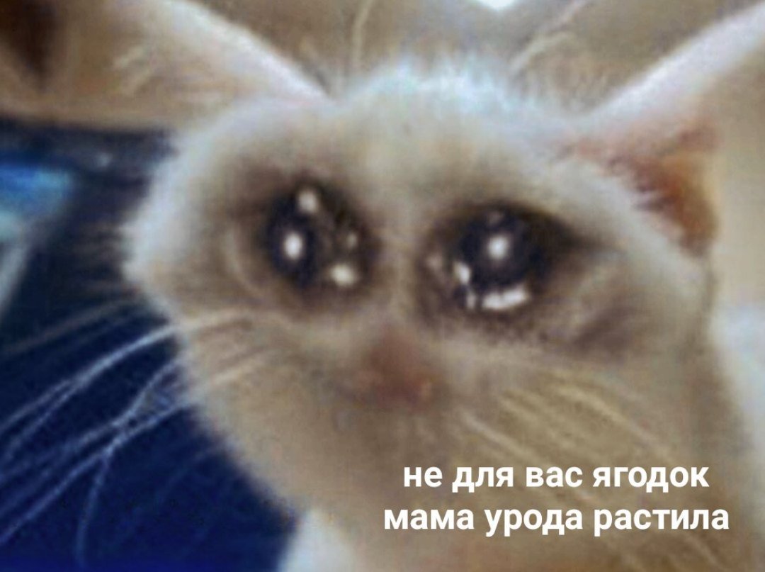 Грустные звуки