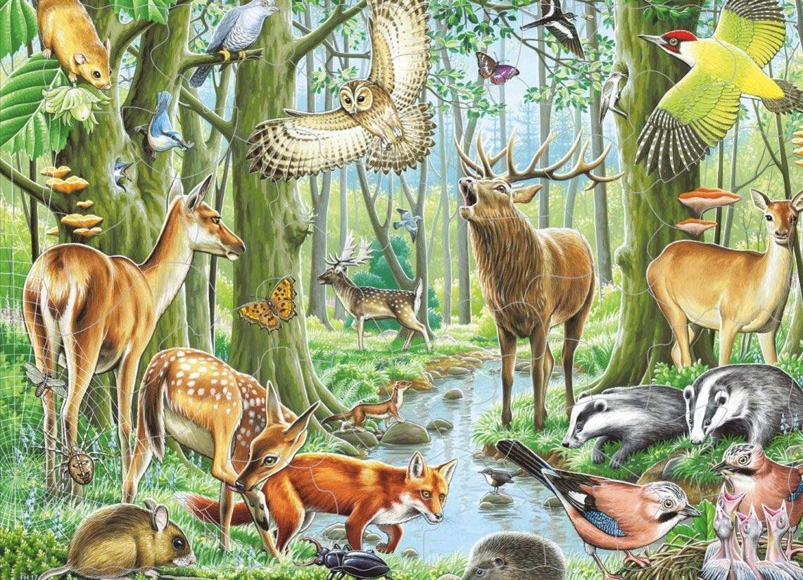 Животные виды