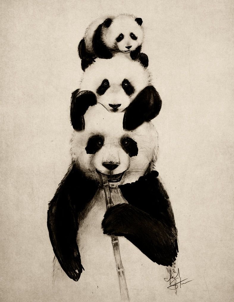 Панда вектор