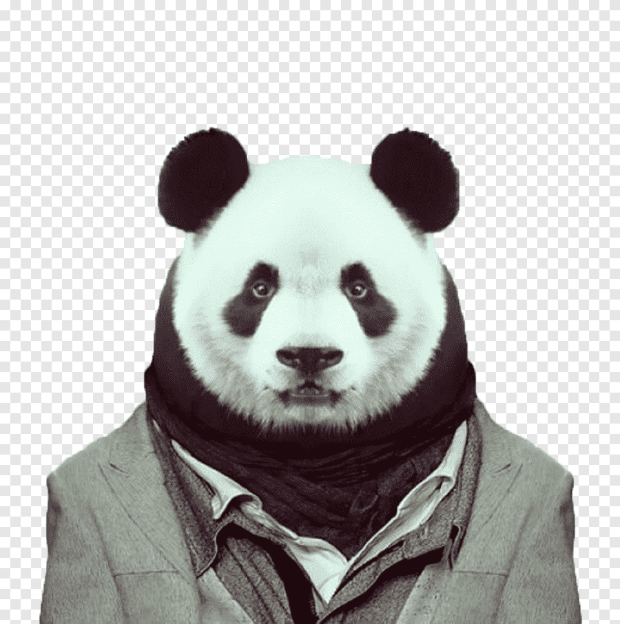 Панда рожица