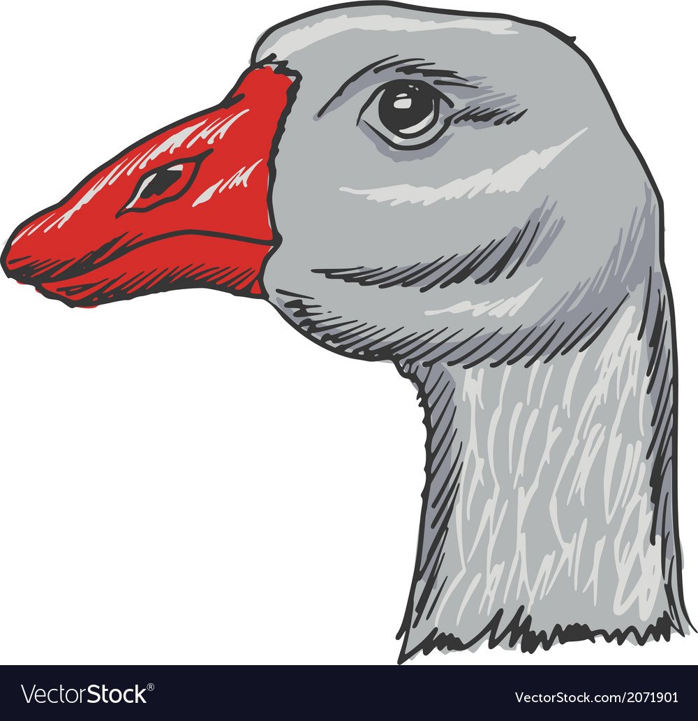 Красивый Гусь