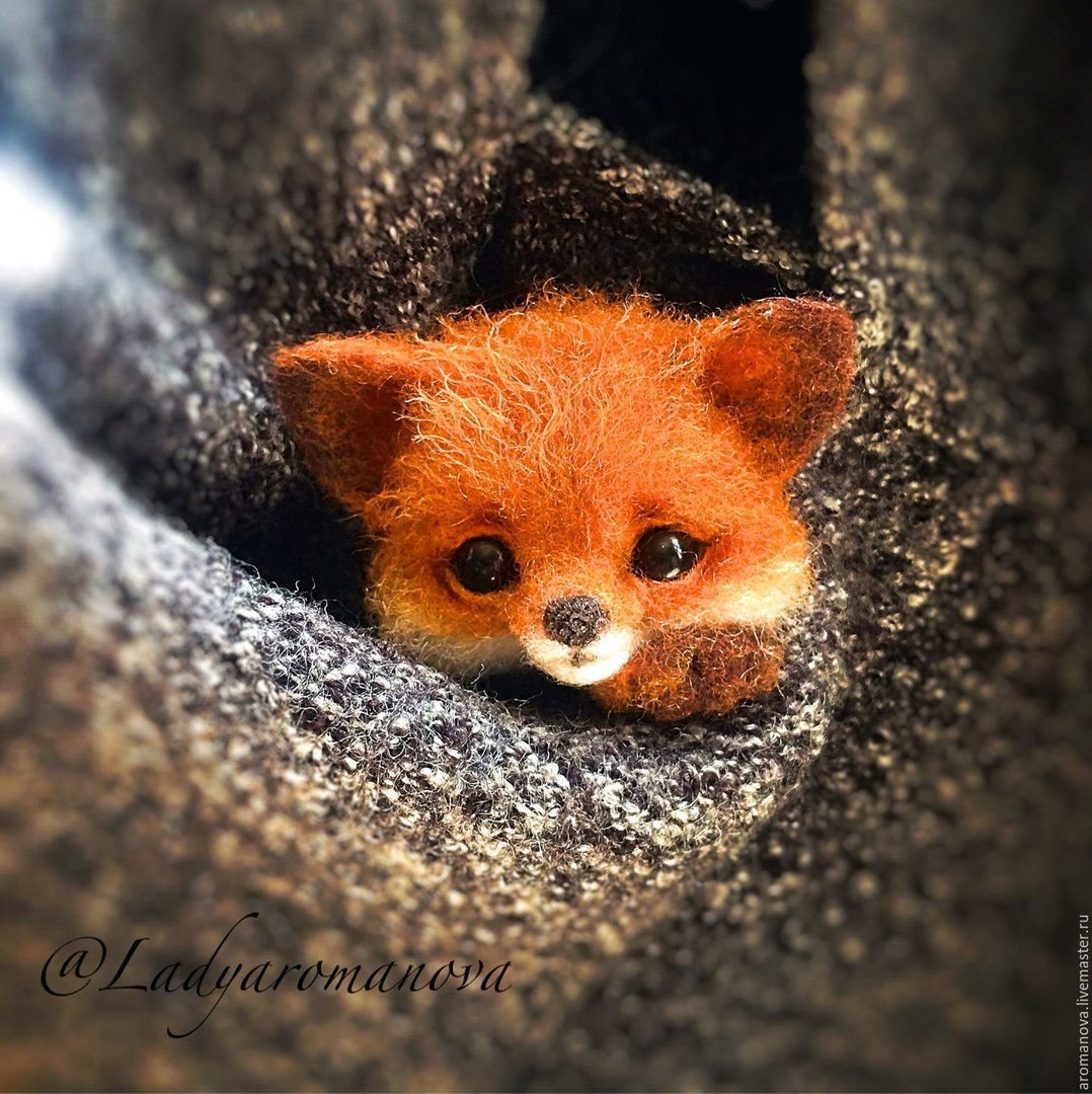 Милые животные