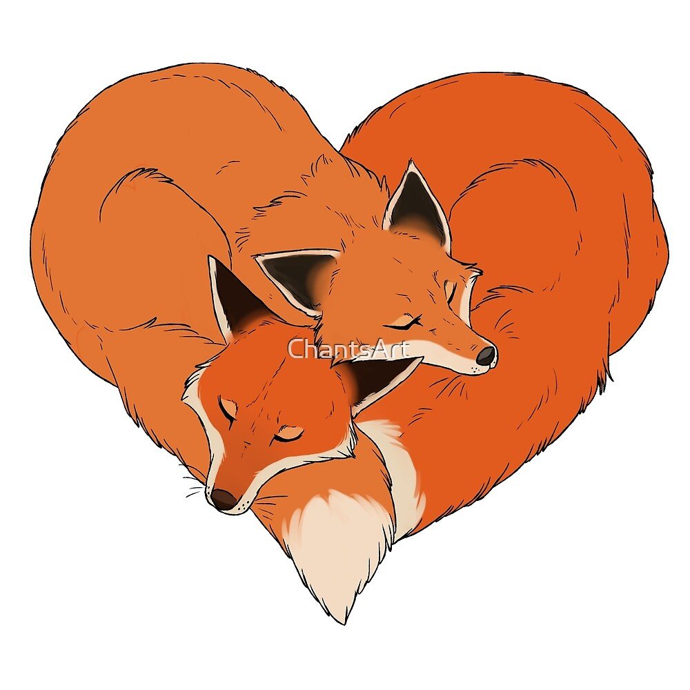 Art of Silverfox лисята кофе