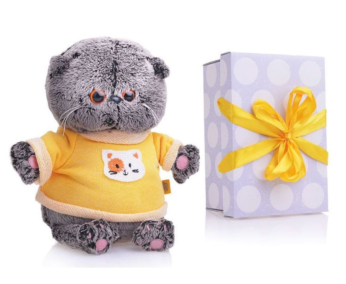 BB-019 Басик Baby в толстовке 20 см