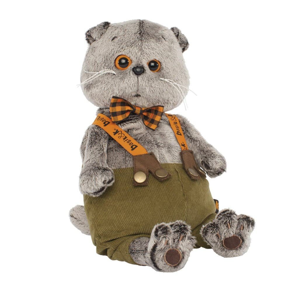 Кот Басик в штанах на подтяжках