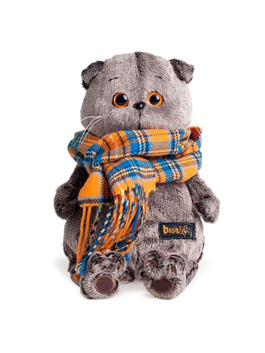 Basic co кот Басик