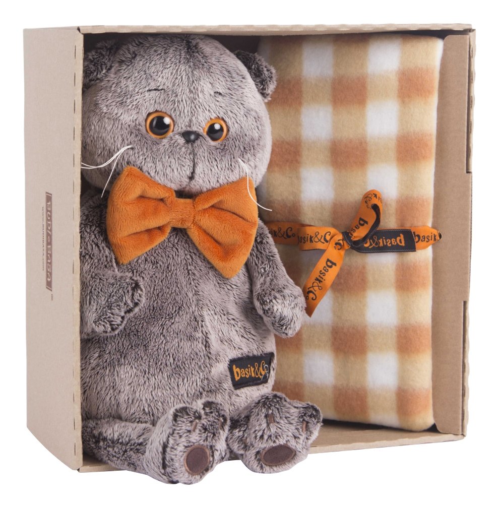 Budi basa кот Басик с пледом