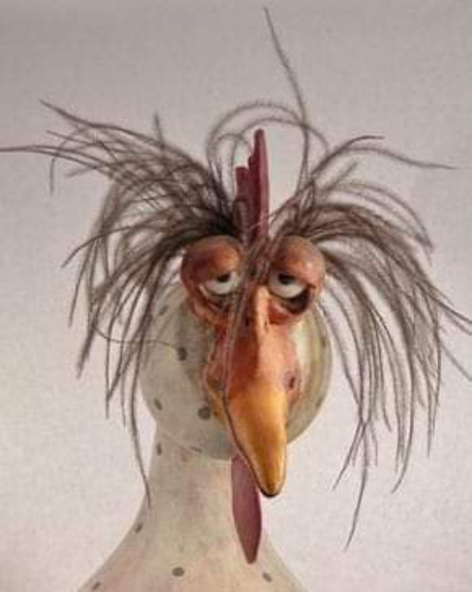 Кошки и куры