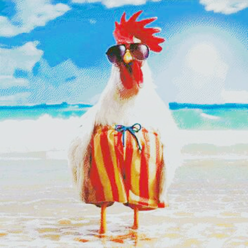 Приколы про позитивных людей