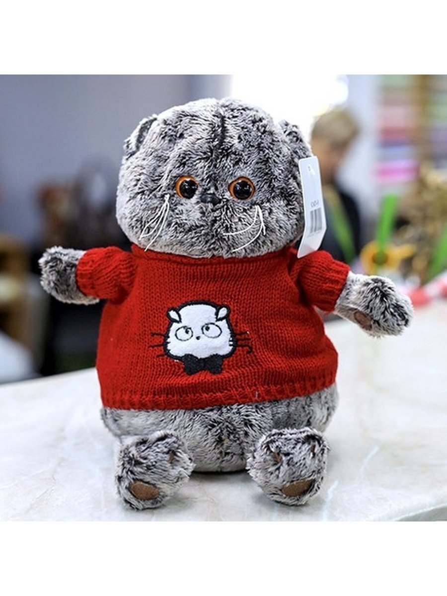 Кот Басик в Красном свитере