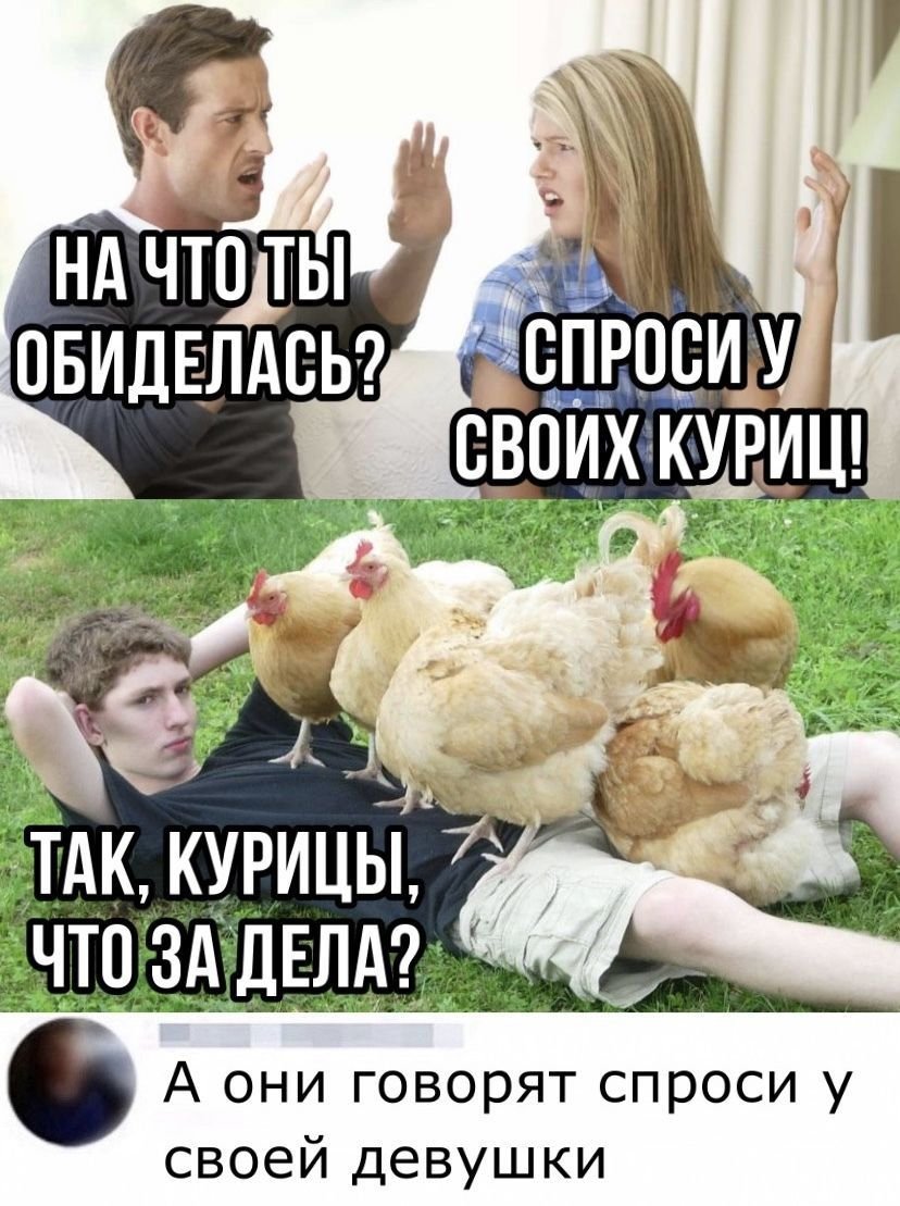Петух прикол