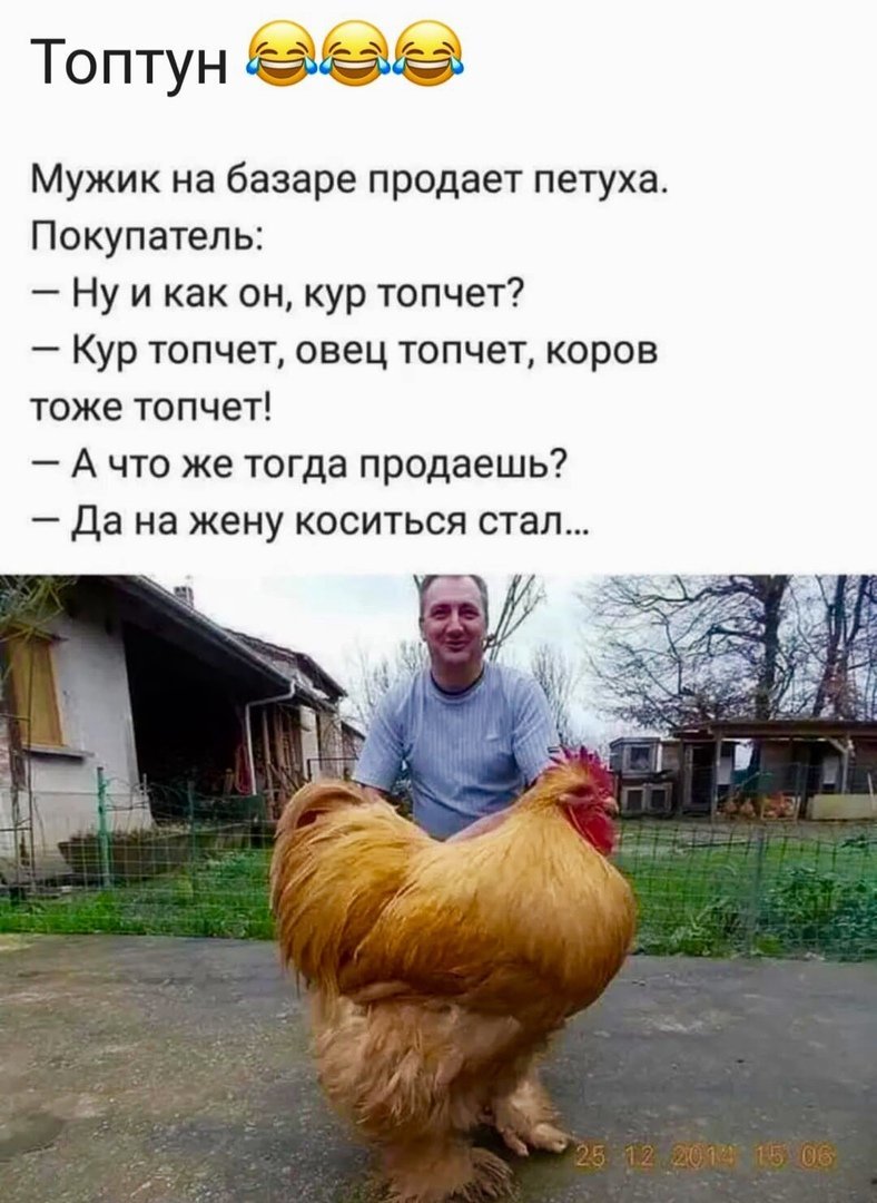 Смешной индюк