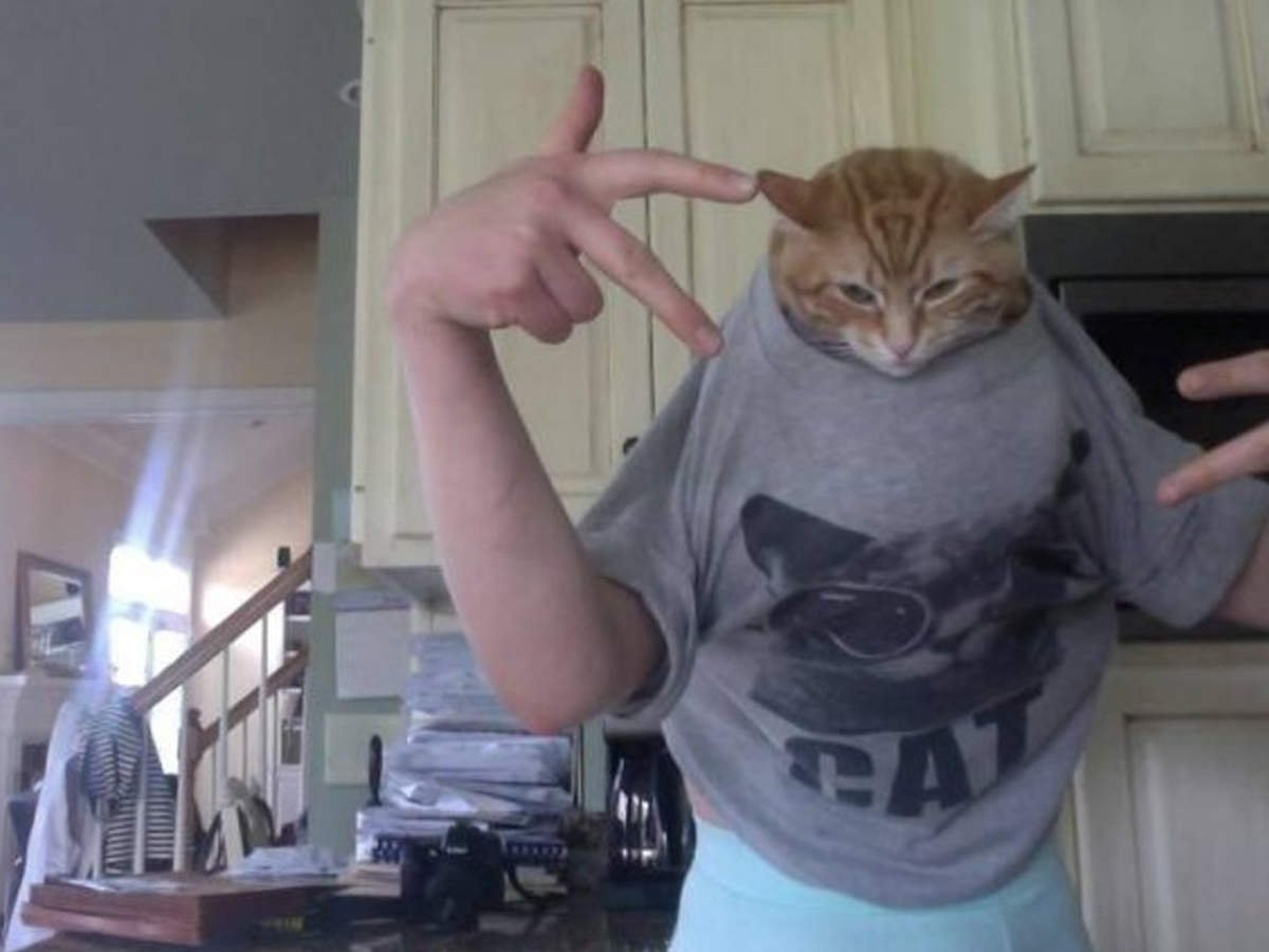 Волк из ну погоди в адидасе