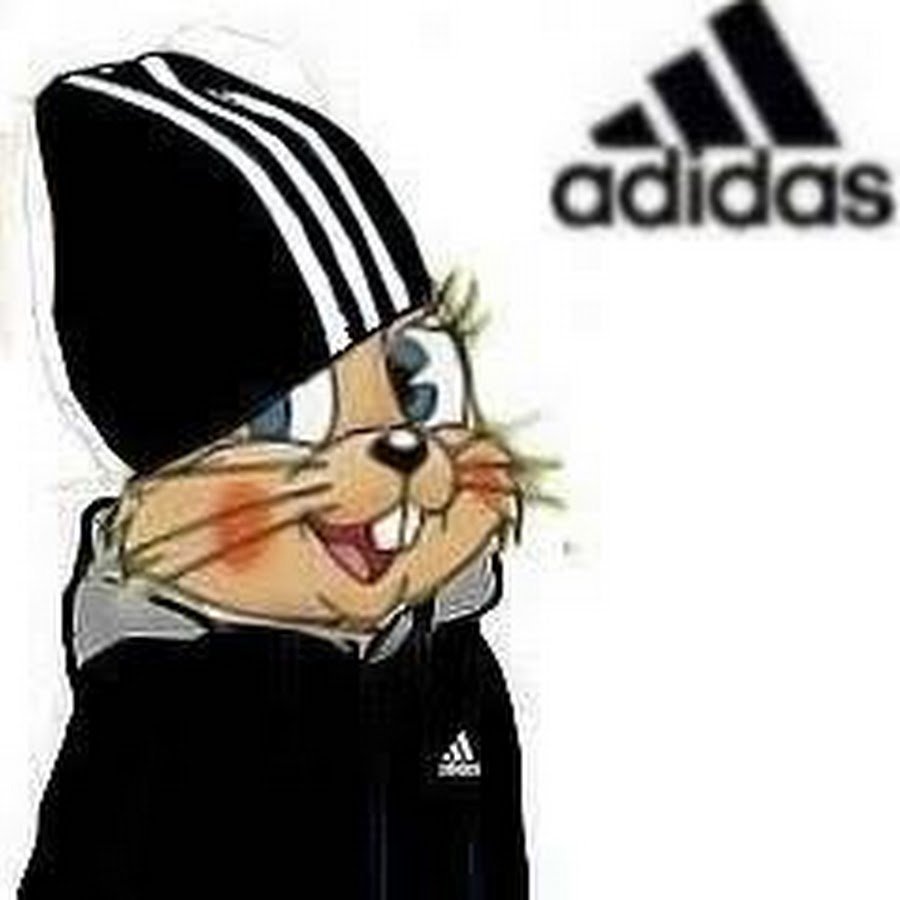 Аватарка кота в адидасе