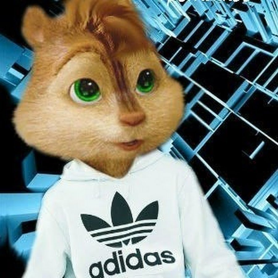 Котята в ботинке