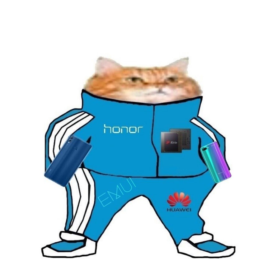 Енот хипстер