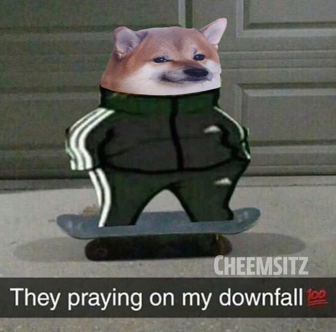 Кот Минимализм