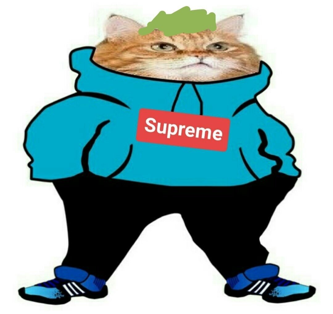 Кошачий рэп