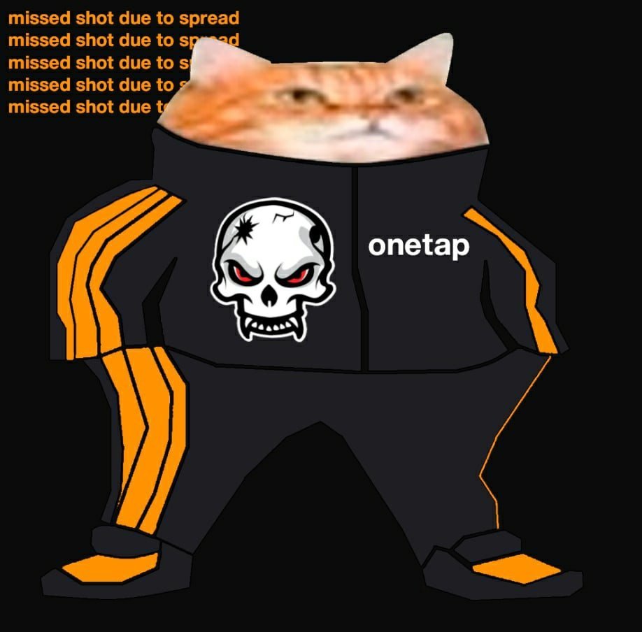 Кот в капюшоне