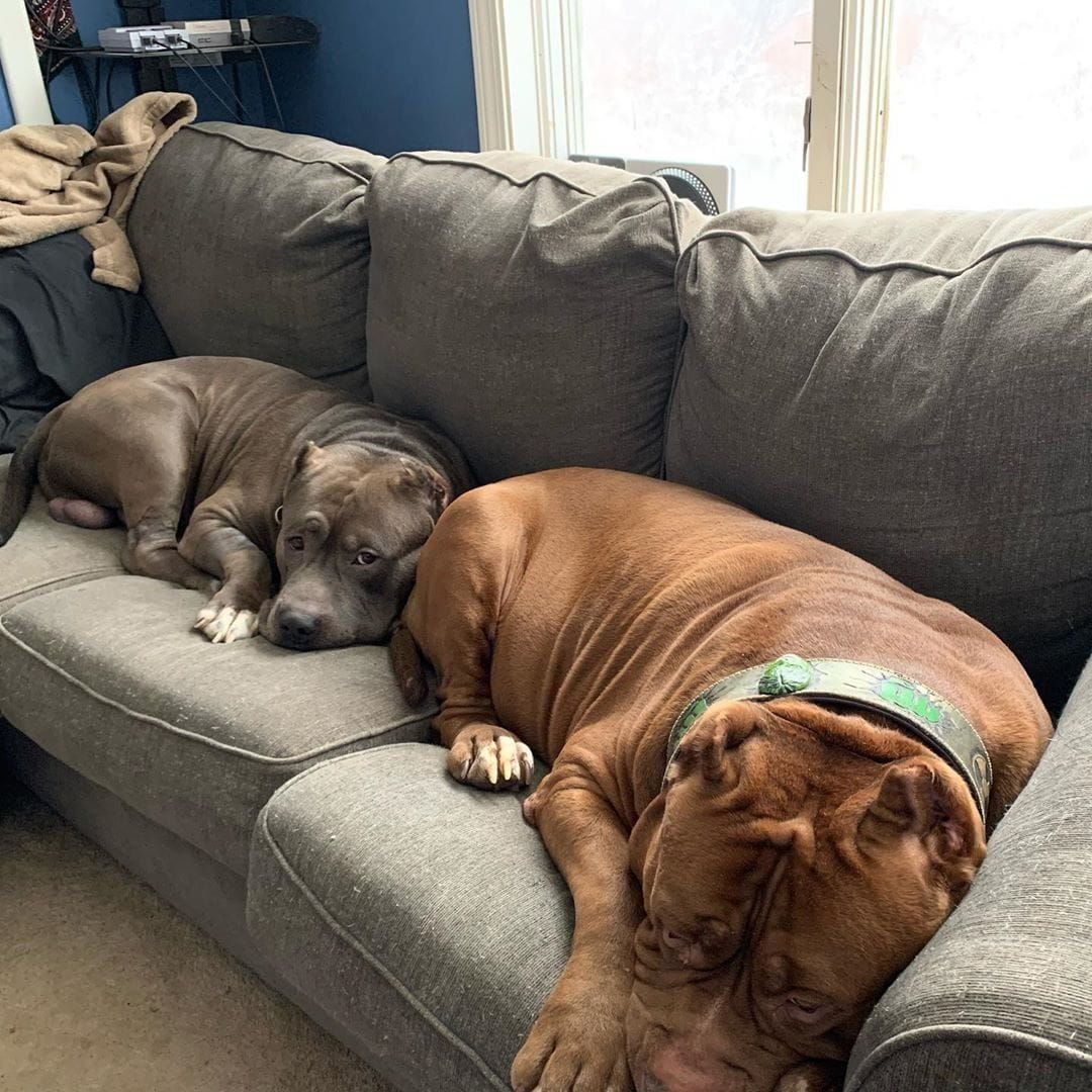 Марлон Греннан