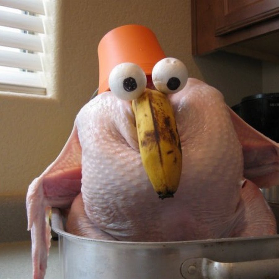 Смешной индюк