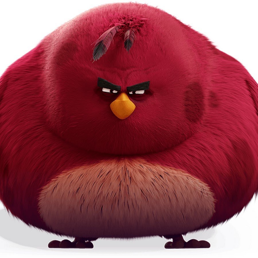 Теренс птица Angry Birds