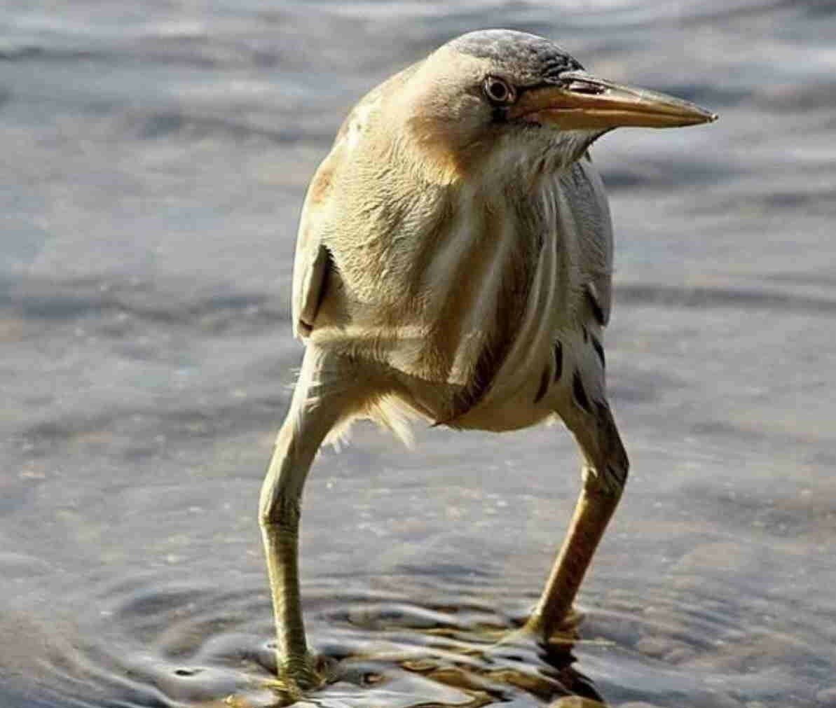 Так блэт с днем рождения