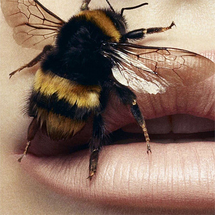 Страшный Шмель