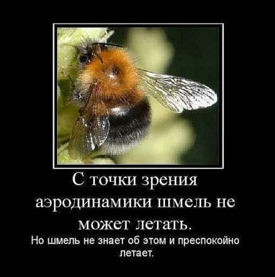 Шмель летать не может